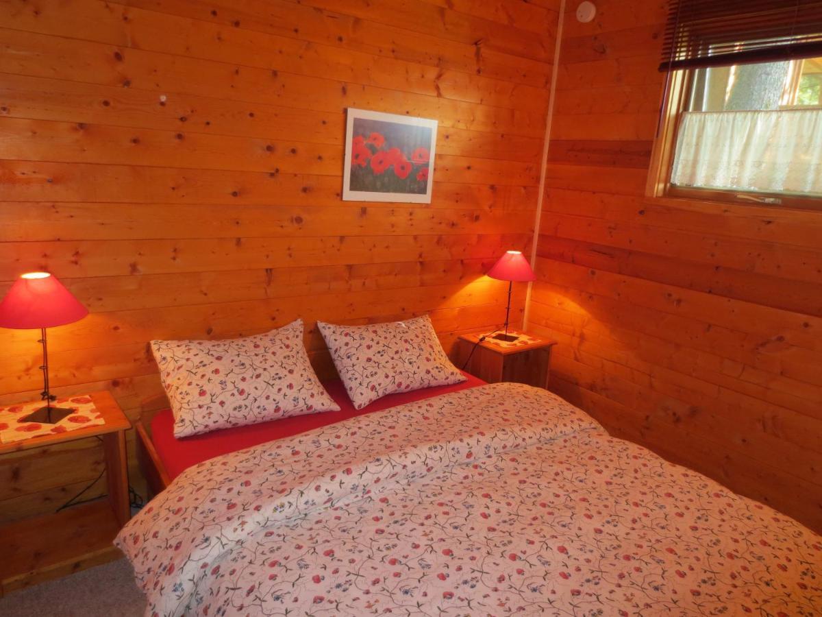 Blaeberry Mountain Lodge Golden Bilik gambar